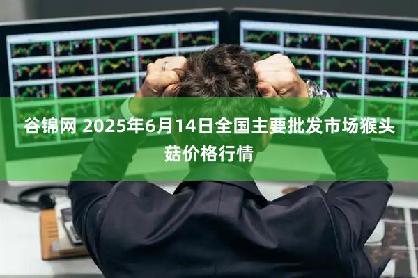 谷锦网 2025年6月14日全国主要批发市场猴头菇价格行情