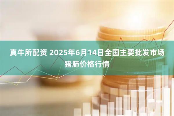 真牛所配资 2025年6月14日全国主要批发市场猪肺价格行情