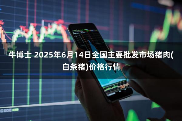牛博士 2025年6月14日全国主要批发市场猪肉(白条猪)价格行情