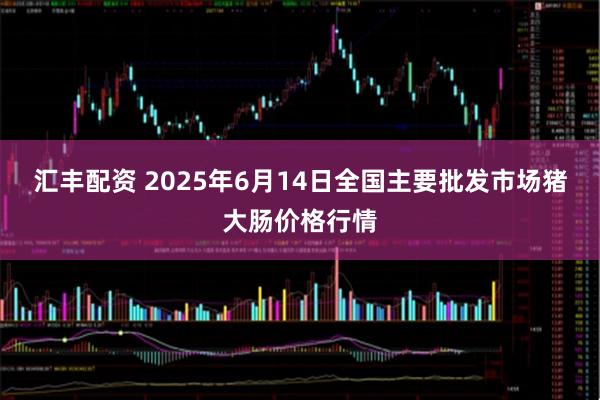 汇丰配资 2025年6月14日全国主要批发市场猪大肠价格行情