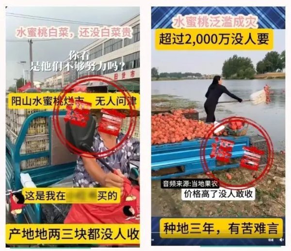 鼎豪投资 造谣“阳山水蜜桃断崖式跌价大量滞销、烂大街”，嫌疑人被抓获！