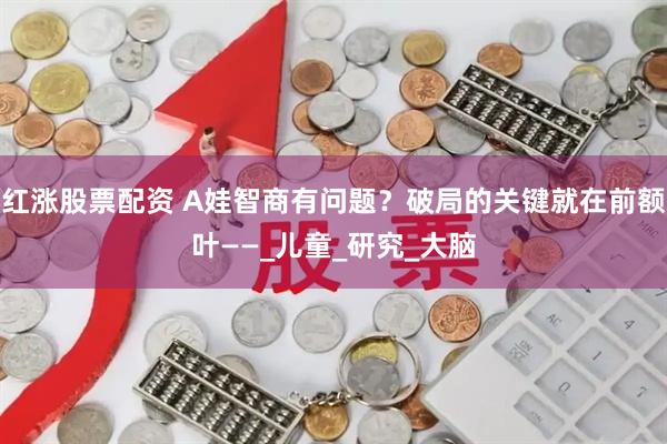 红涨股票配资 A娃智商有问题？破局的关键就在前额叶——_儿童_研究_大脑